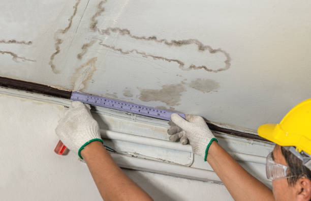 Reliable Mold Remediation contractor in Posey, CA by Water Damage Irwin